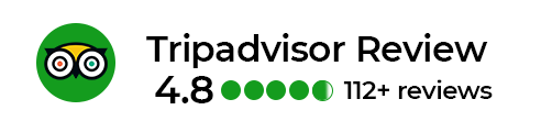 Tripadvisor Reviews